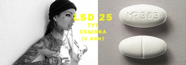 ешки Новодвинск