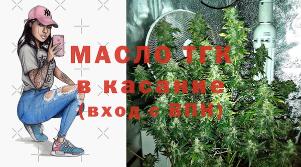 ешки Новодвинск
