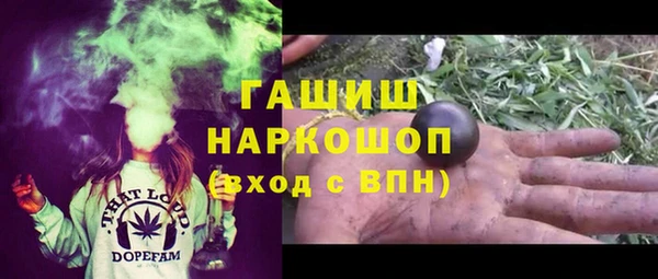 ешки Новодвинск