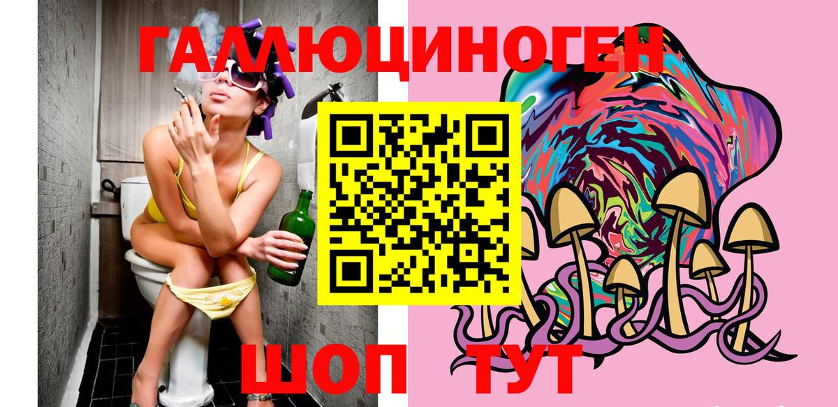 Псилоцибиновые грибы Psilocybe Лянтор