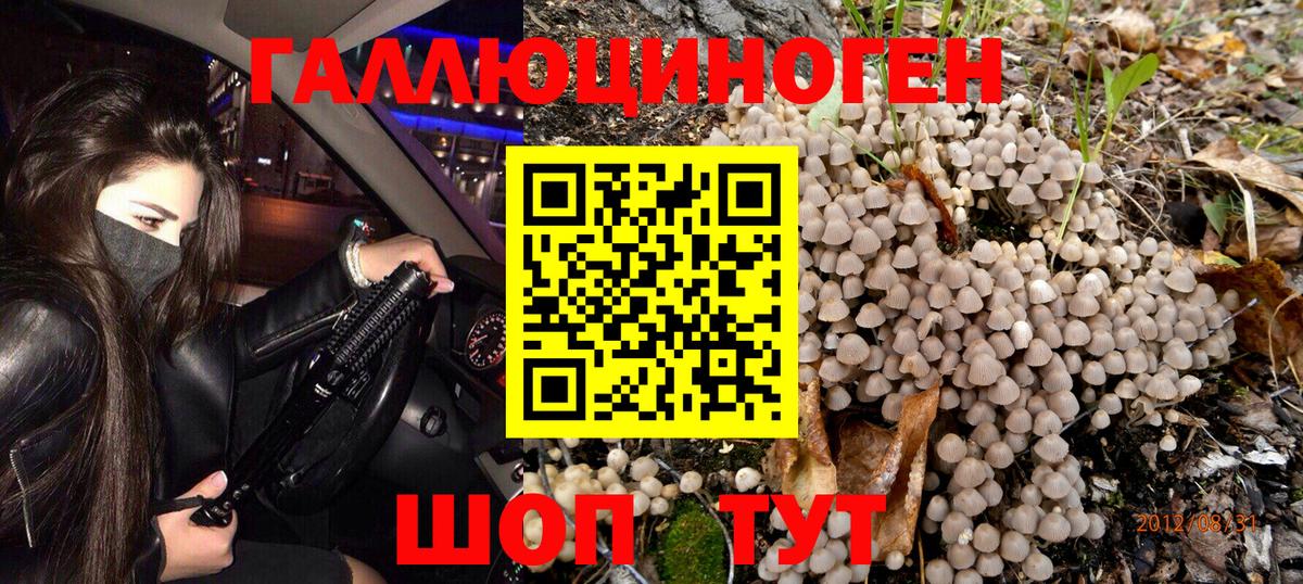 Галлюциногенные грибы MAGIC MUSHROOMS  Вход с VPN  наркотики  Лянтор 