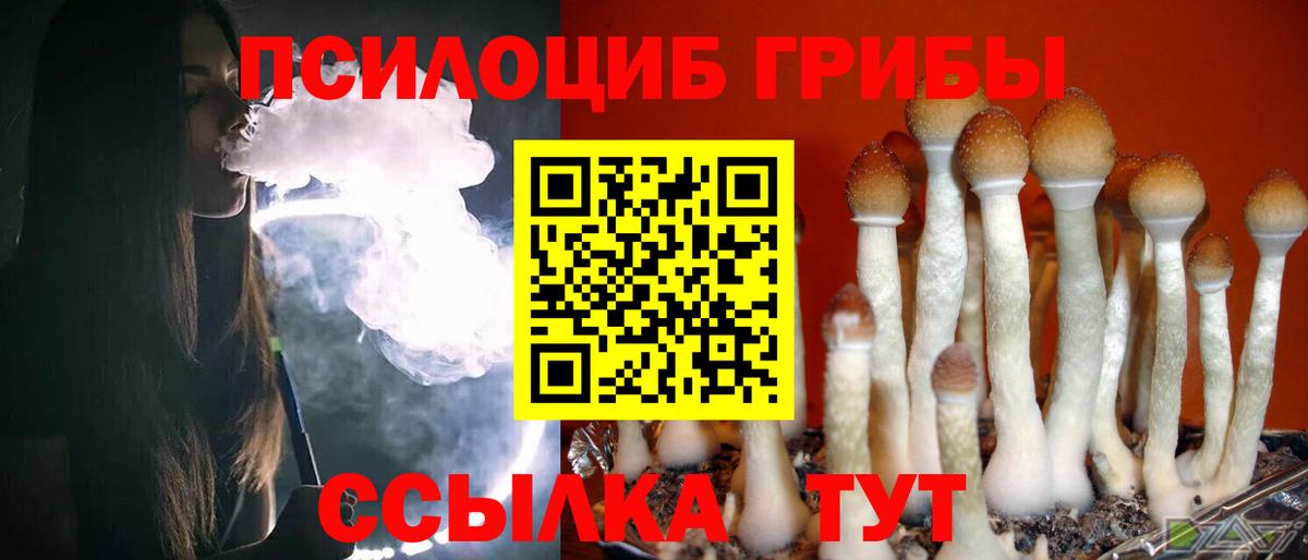 Галлюциногенные грибы Psilocybine cubensis  Лянтор 